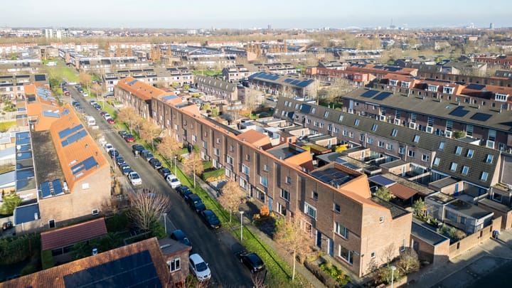 Foto 48 van Citroenkruid 32