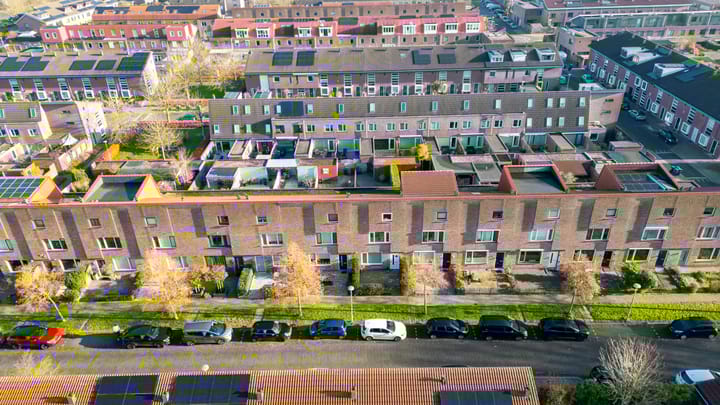 Foto 49 van Citroenkruid 32