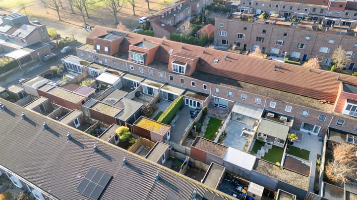 Foto 50 van Citroenkruid 32