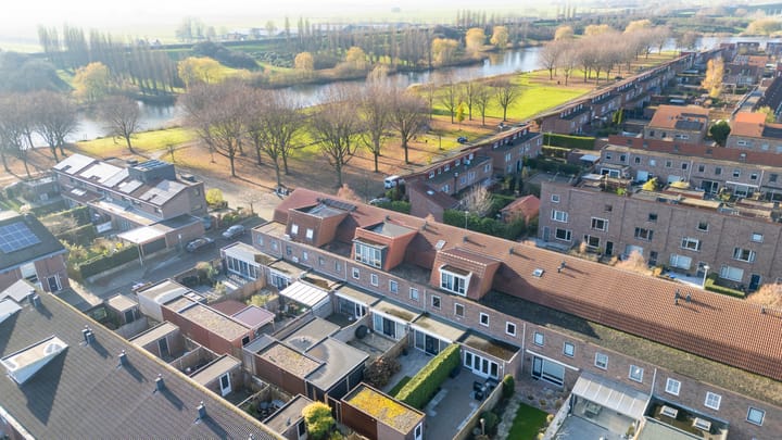 Foto 52 van Citroenkruid 32