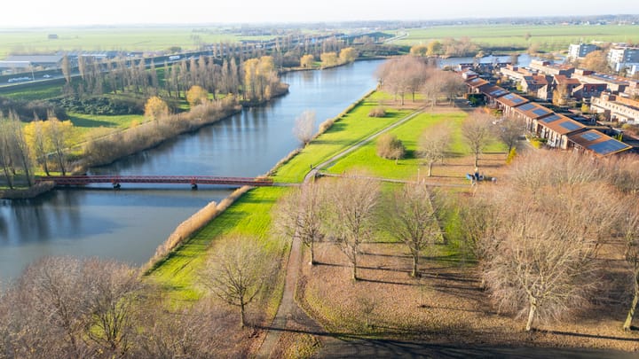 Foto 53 van Citroenkruid 32