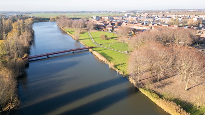 Foto 54 van Citroenkruid 32