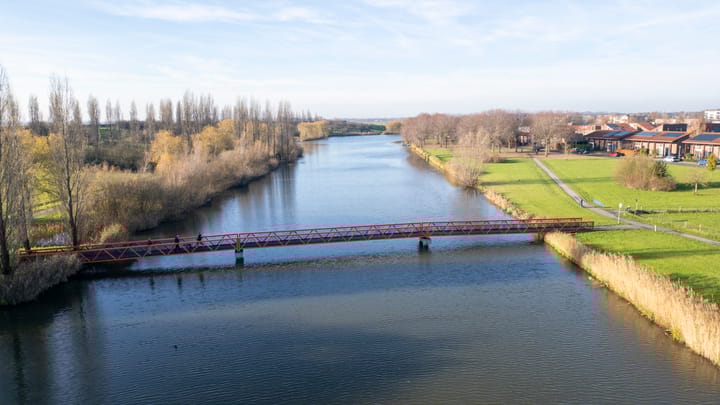 Foto 55 van Citroenkruid 32