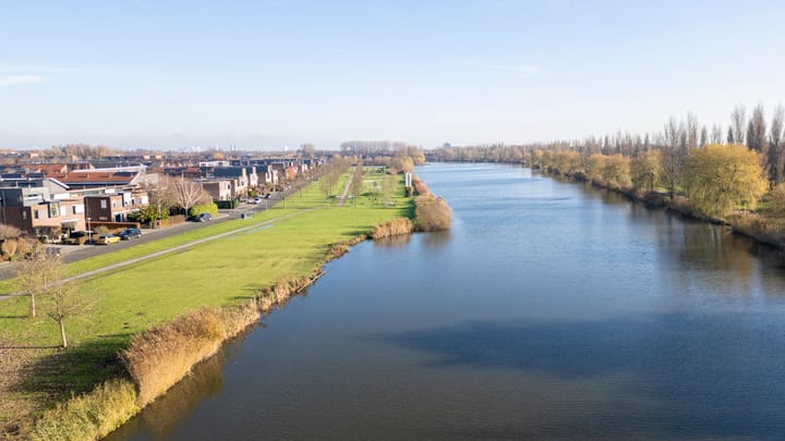 Foto 56 van Citroenkruid 32