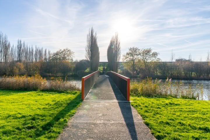 Foto 59 van Citroenkruid 32