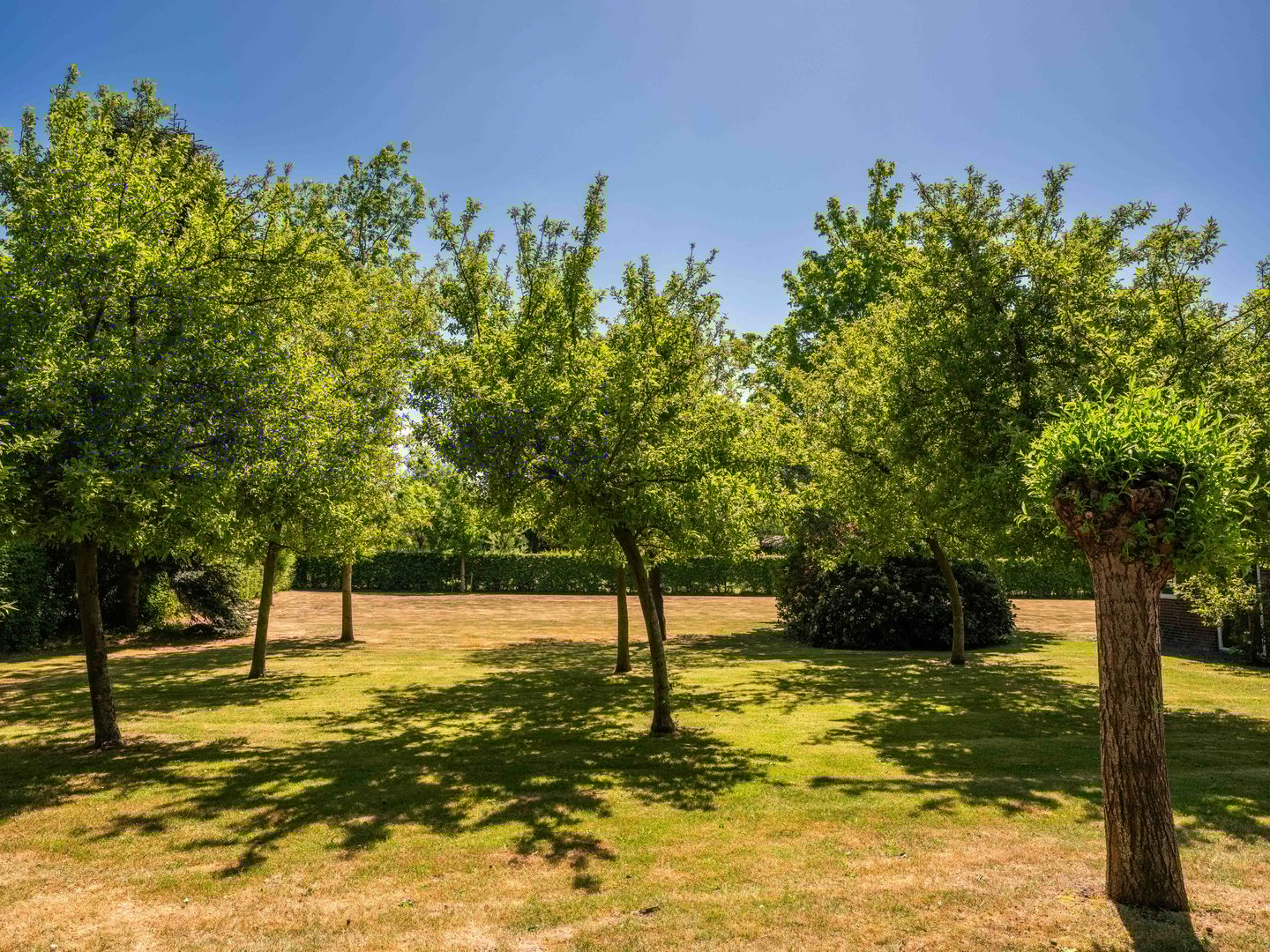 Foto 89 van Kerkedijk 142