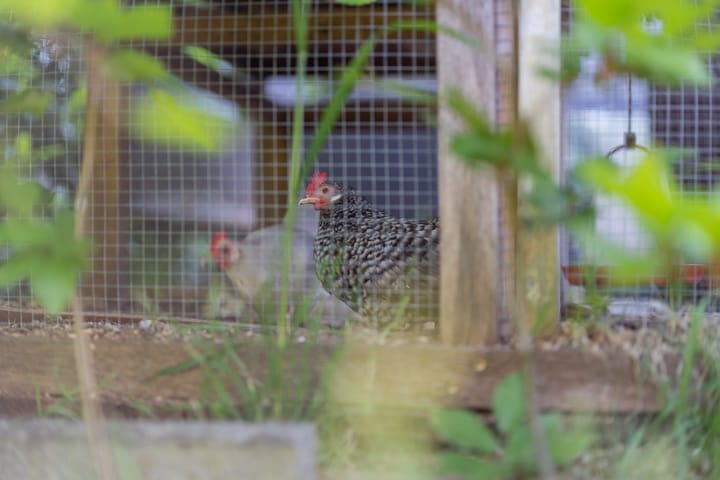 Foto 24 van Prinses Julianastraat 1