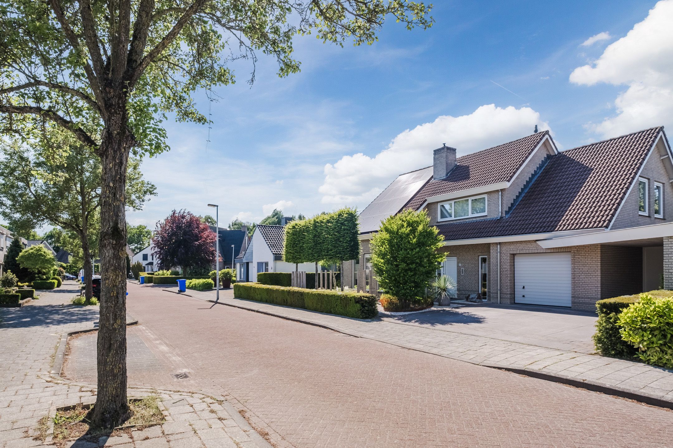 Photo 48 of Wezel 57