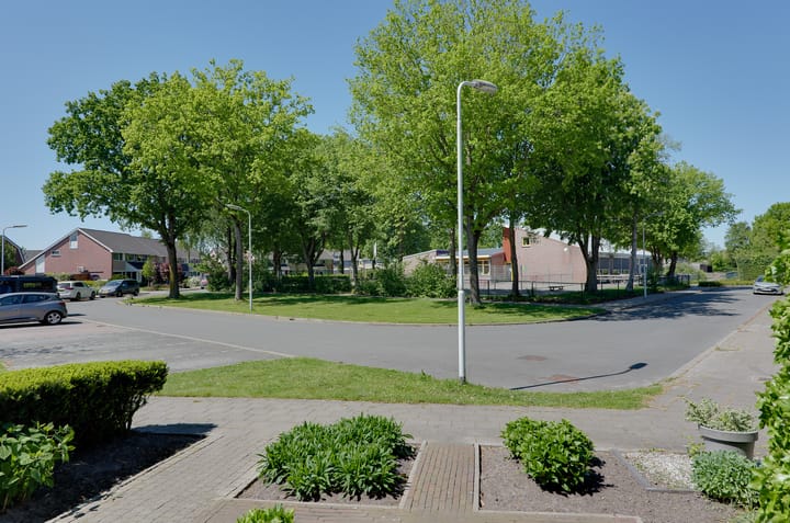 Foto 41 van De Merel 17