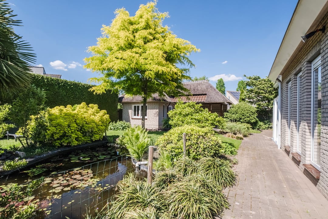 Photo 43 of Wezel 57