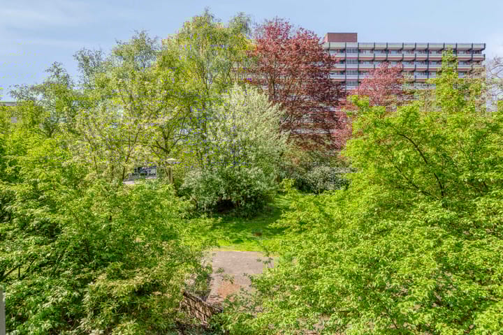 Foto 20 van H. Cleyndertweg 679