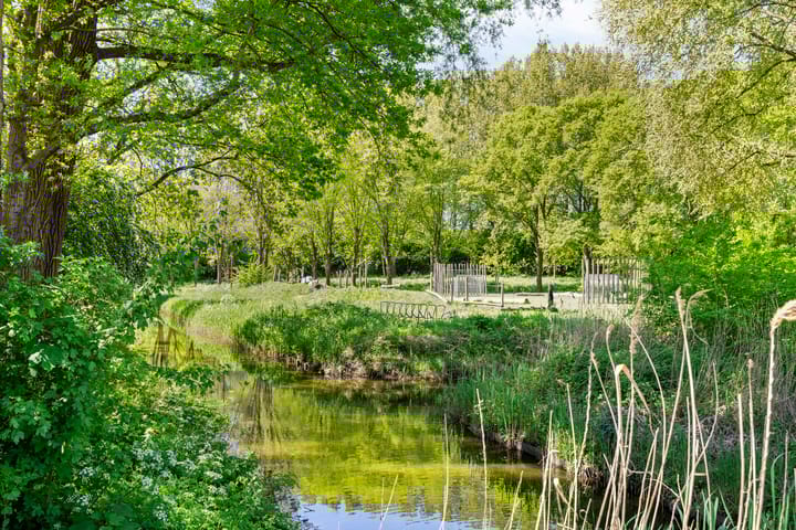 Foto 26 van H. Cleyndertweg 679