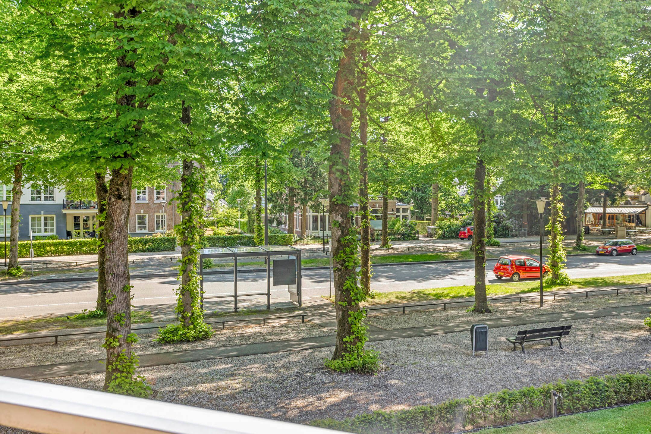 Foto 15 van Loolaan 65-F