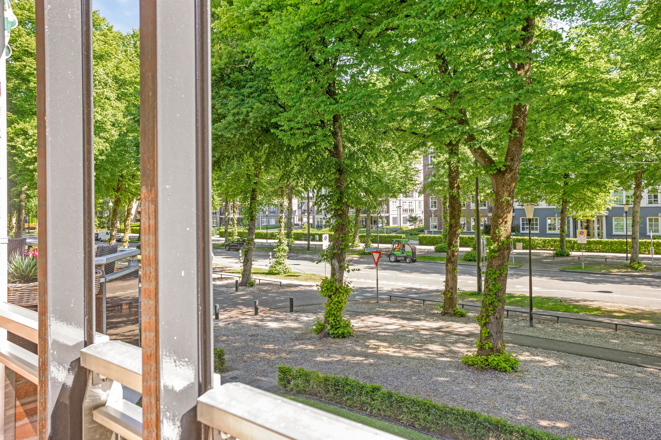 Foto 3 van Loolaan 65-F