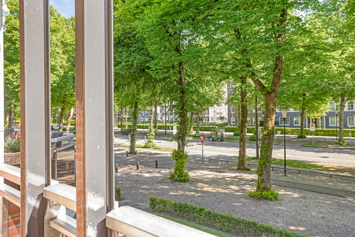 Foto 3 van Loolaan 65-F