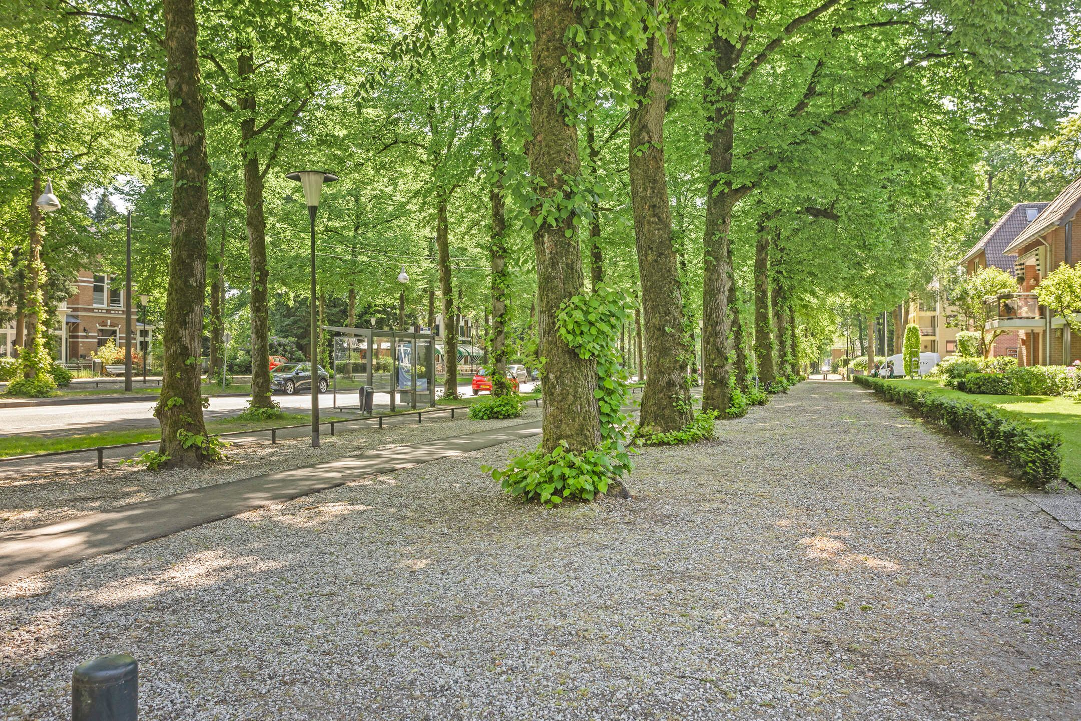 Foto 36 van Loolaan 65-F