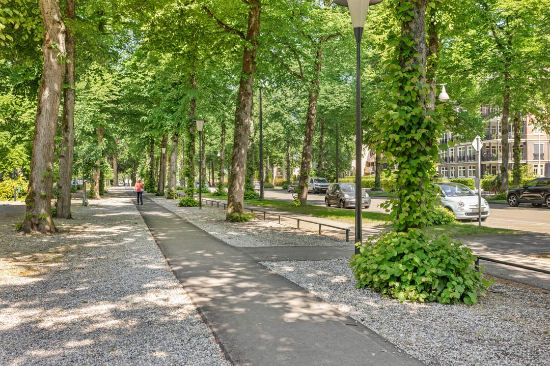 Foto 37 van Loolaan 65-F