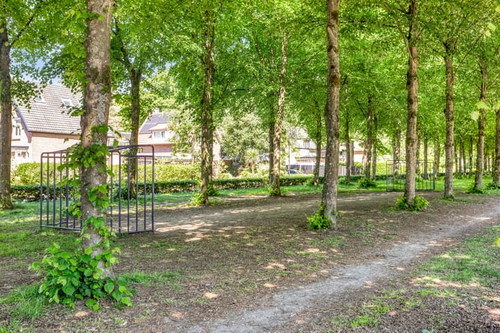 Foto 38 van Loolaan 65-F