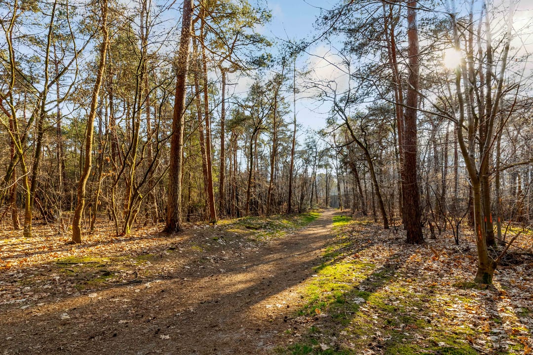 Foto 32 van Rijksstraatweg 216-B