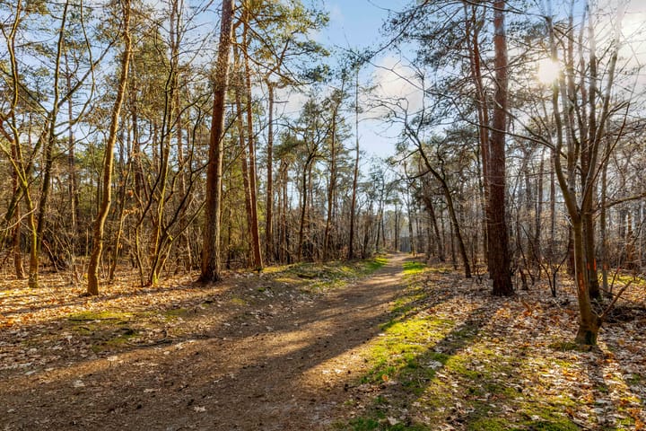 Foto 32 van Rijksstraatweg 216-B