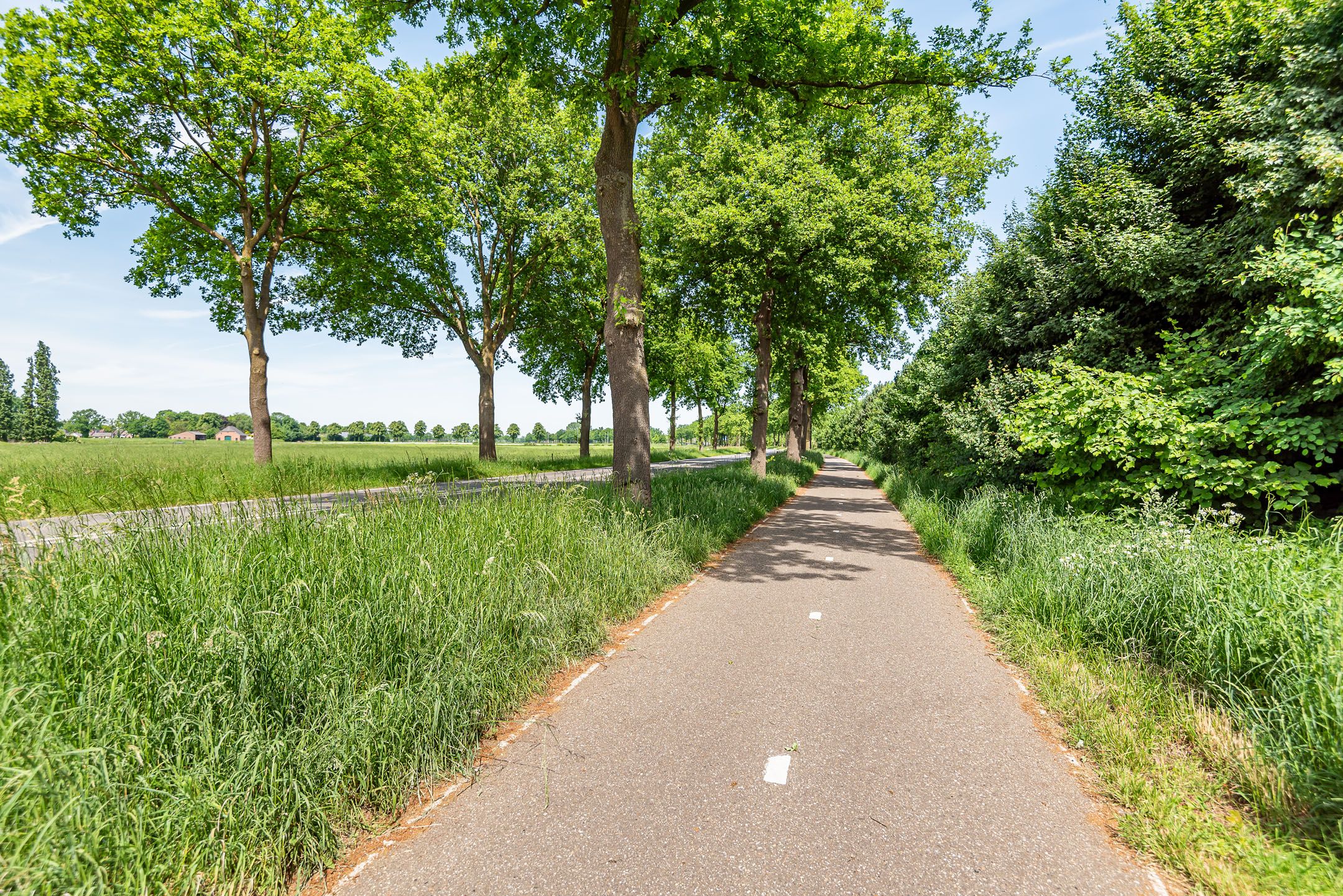 Foto 42 van Geulstraat 8