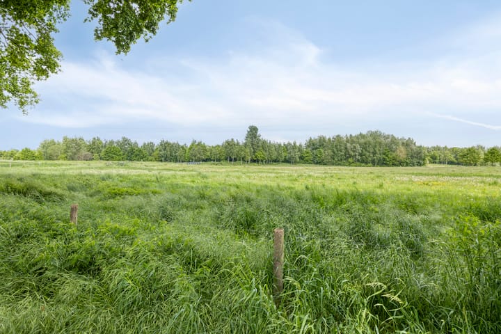 Foto 21 van Lindenlaan 16