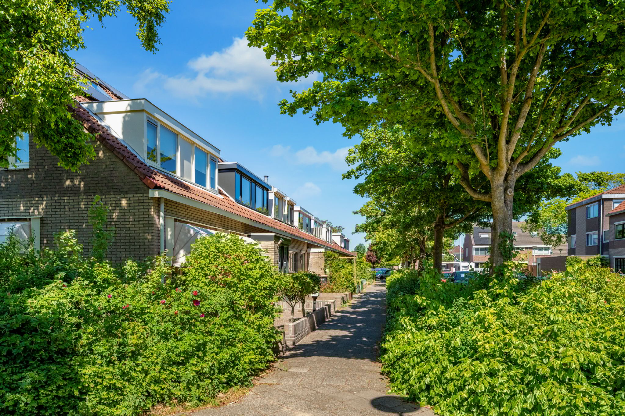 Foto 54 van Commandeurslaan 46