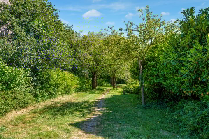 Photo 56 of Commandeurslaan 46