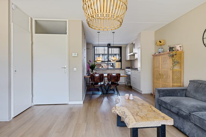 Photo 8 of Koolmees 49