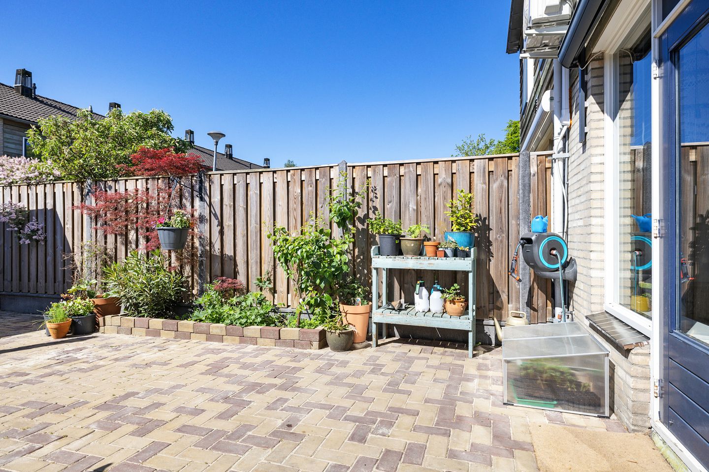 Foto 29 van Koolmees 49