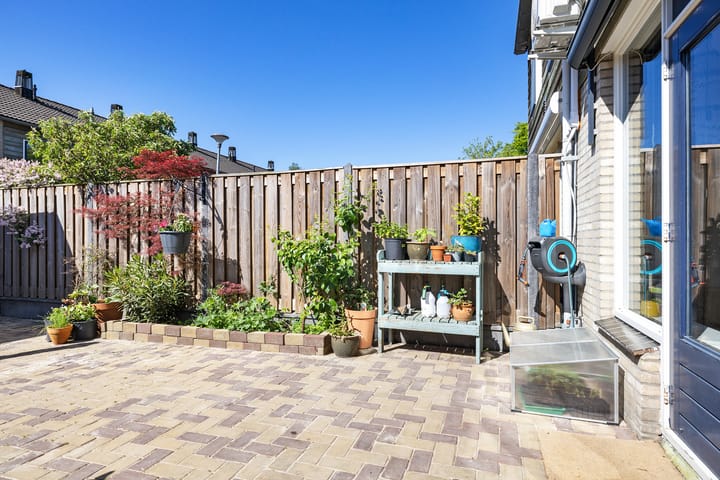 Photo 29 of Koolmees 49