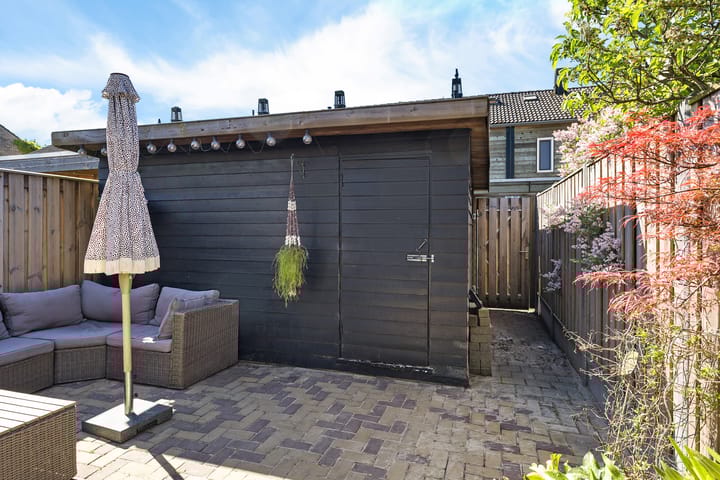 Photo 31 of Koolmees 49