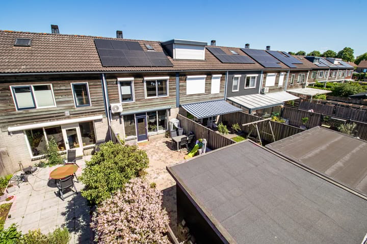 Photo 32 of Koolmees 49