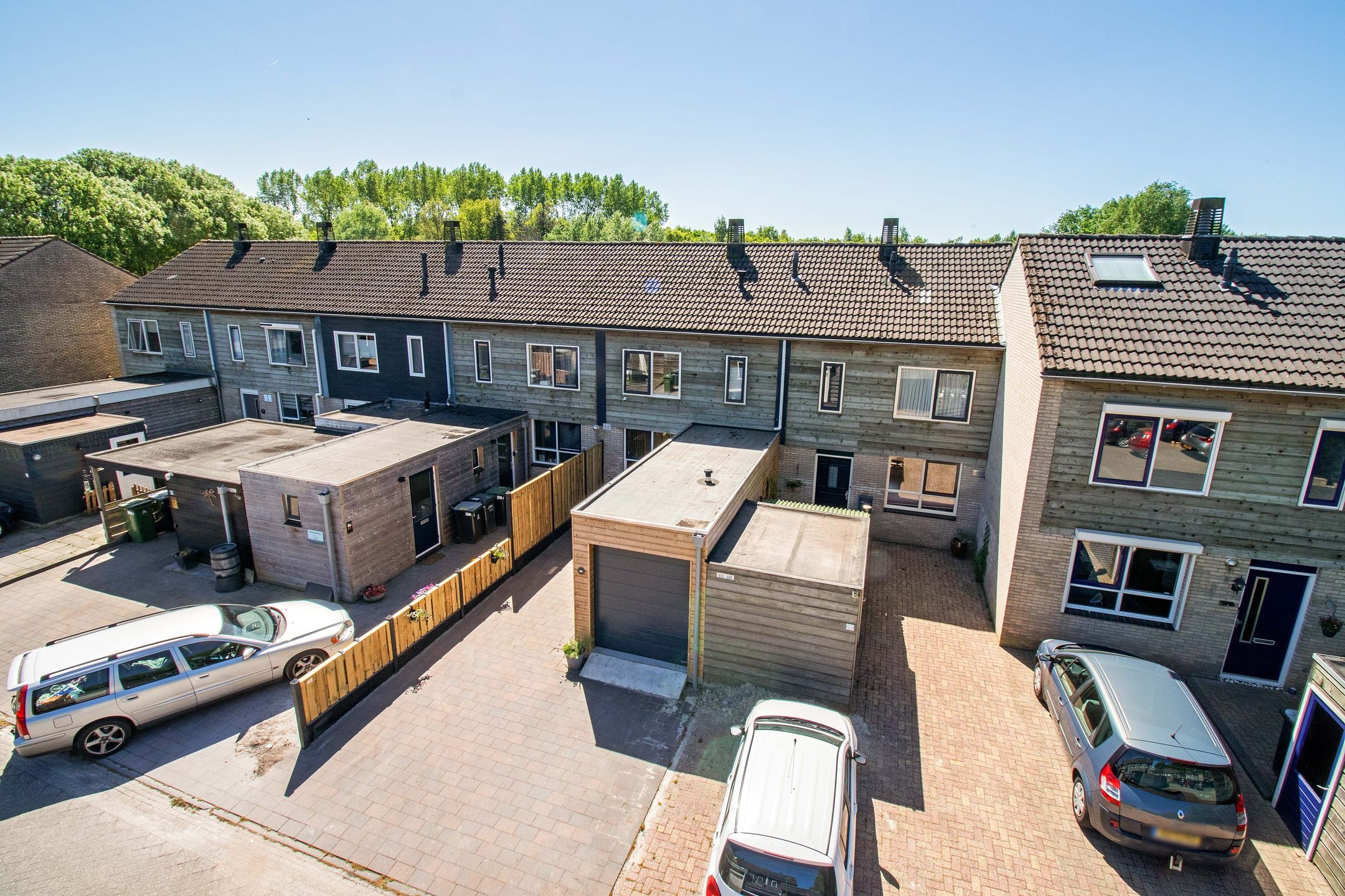 Foto 39 van Koolmees 49