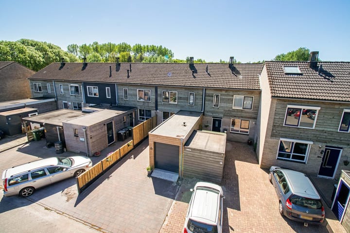 Photo 39 of Koolmees 49