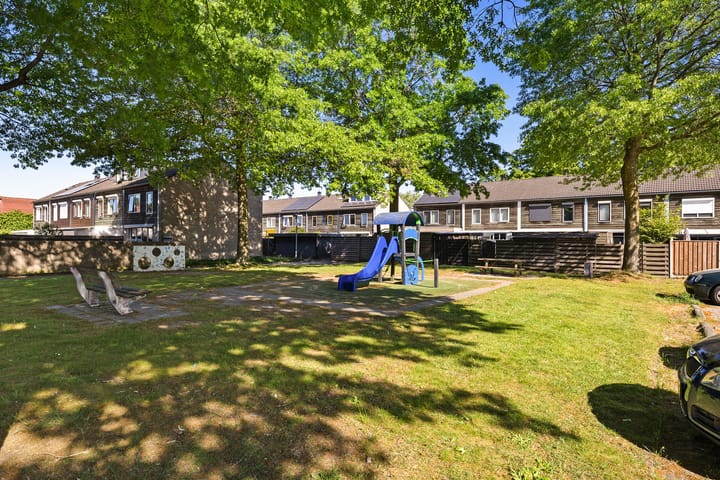 Photo 40 of Koolmees 49