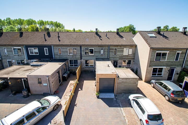 Photo 41 of Koolmees 49