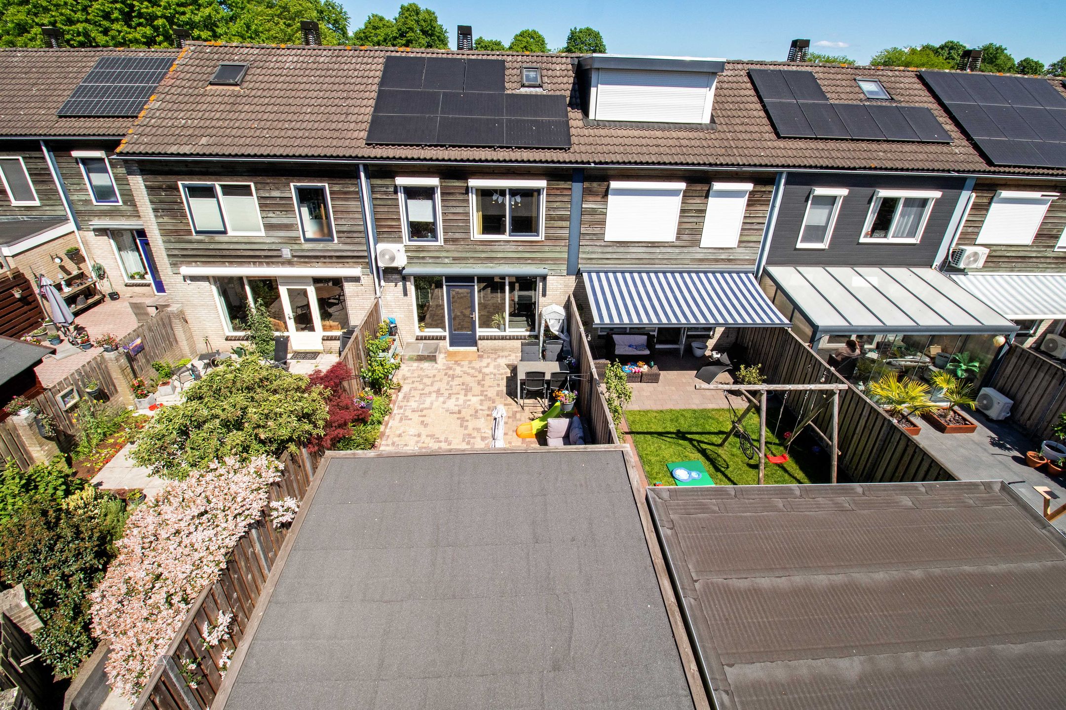 Foto 42 van Koolmees 49