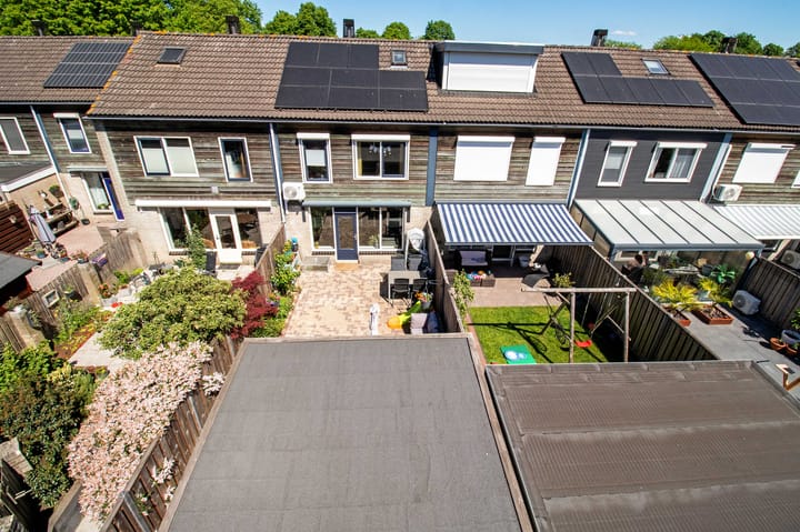 Photo 42 of Koolmees 49