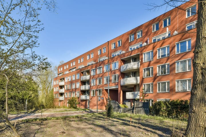 Foto 2 van Suze Groenewegplantsoen 80