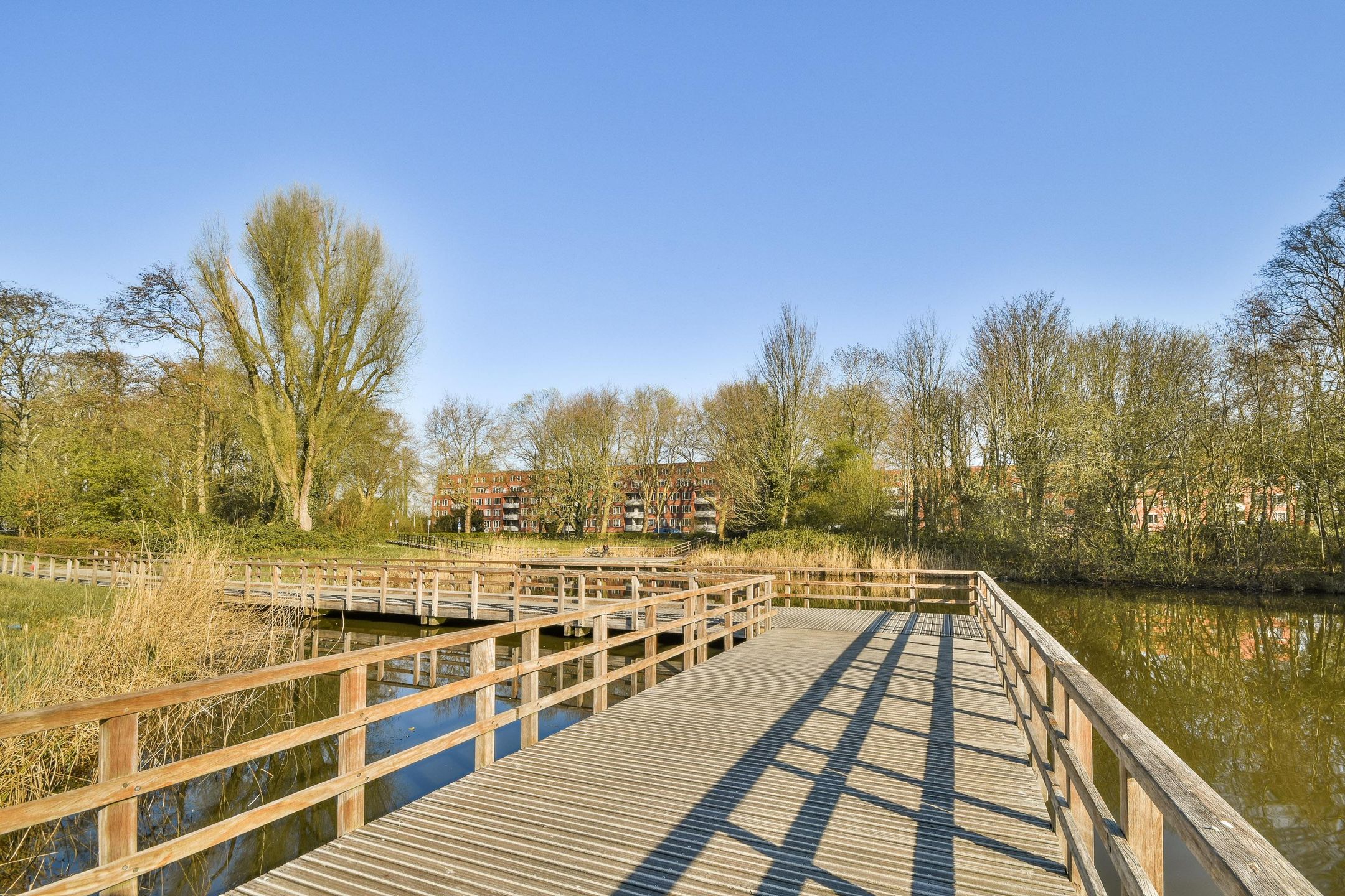 Foto 18 van Suze Groenewegplantsoen 80