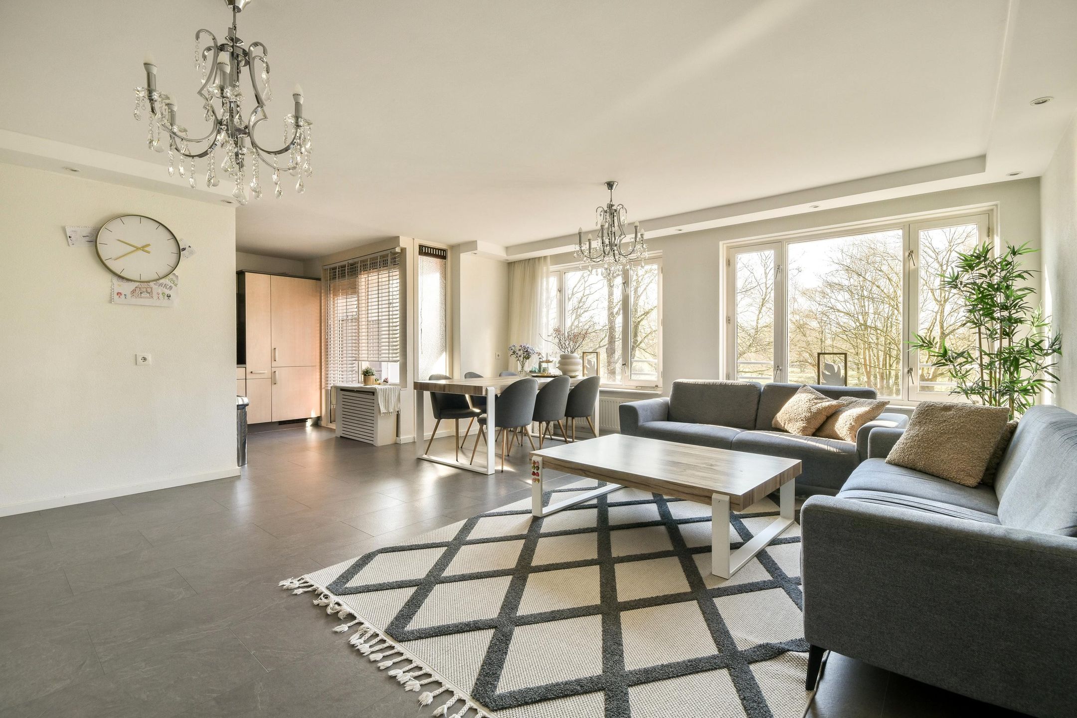 Foto 6 van Suze Groenewegplantsoen 80