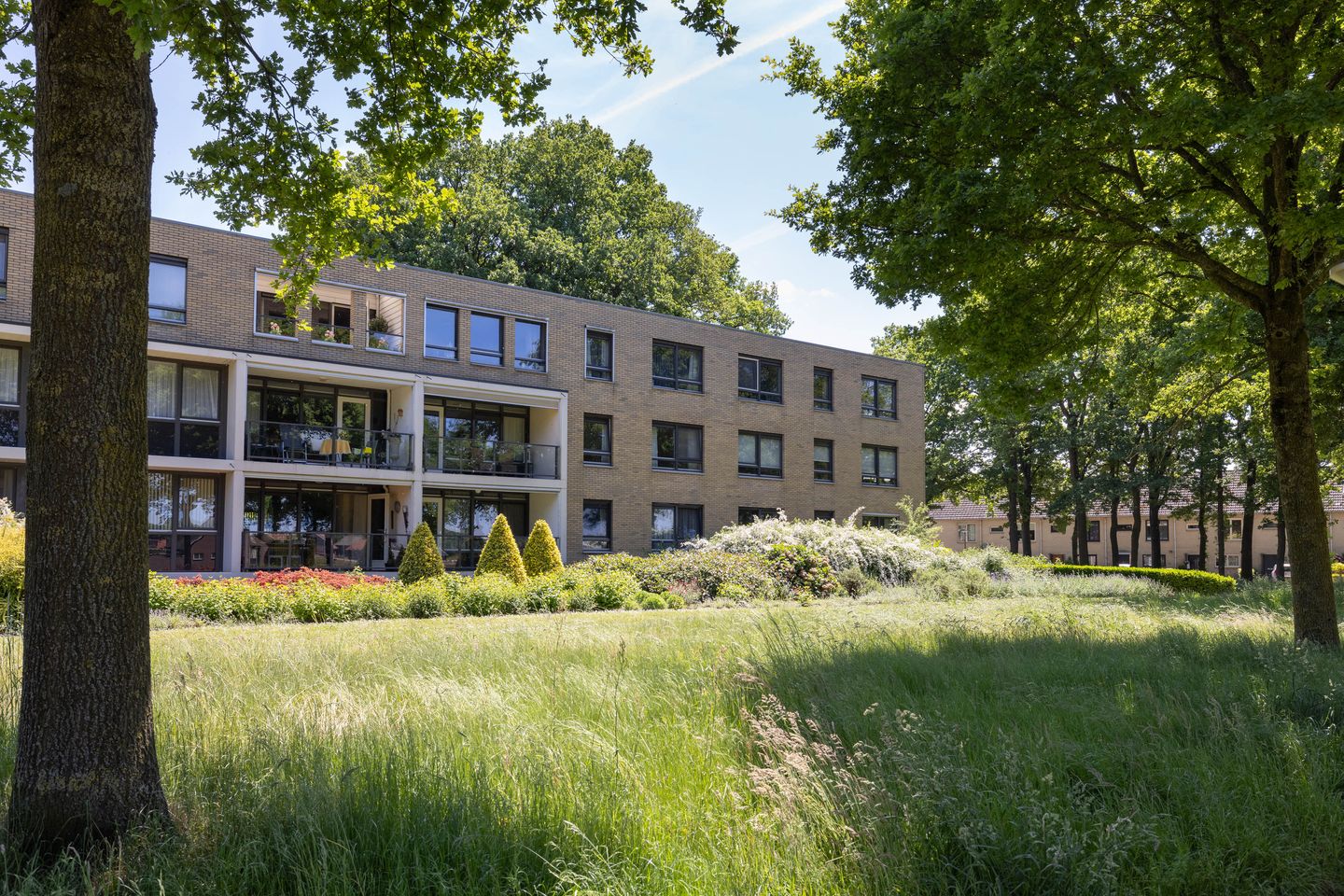 Foto 29 van Oxfordstraat 31