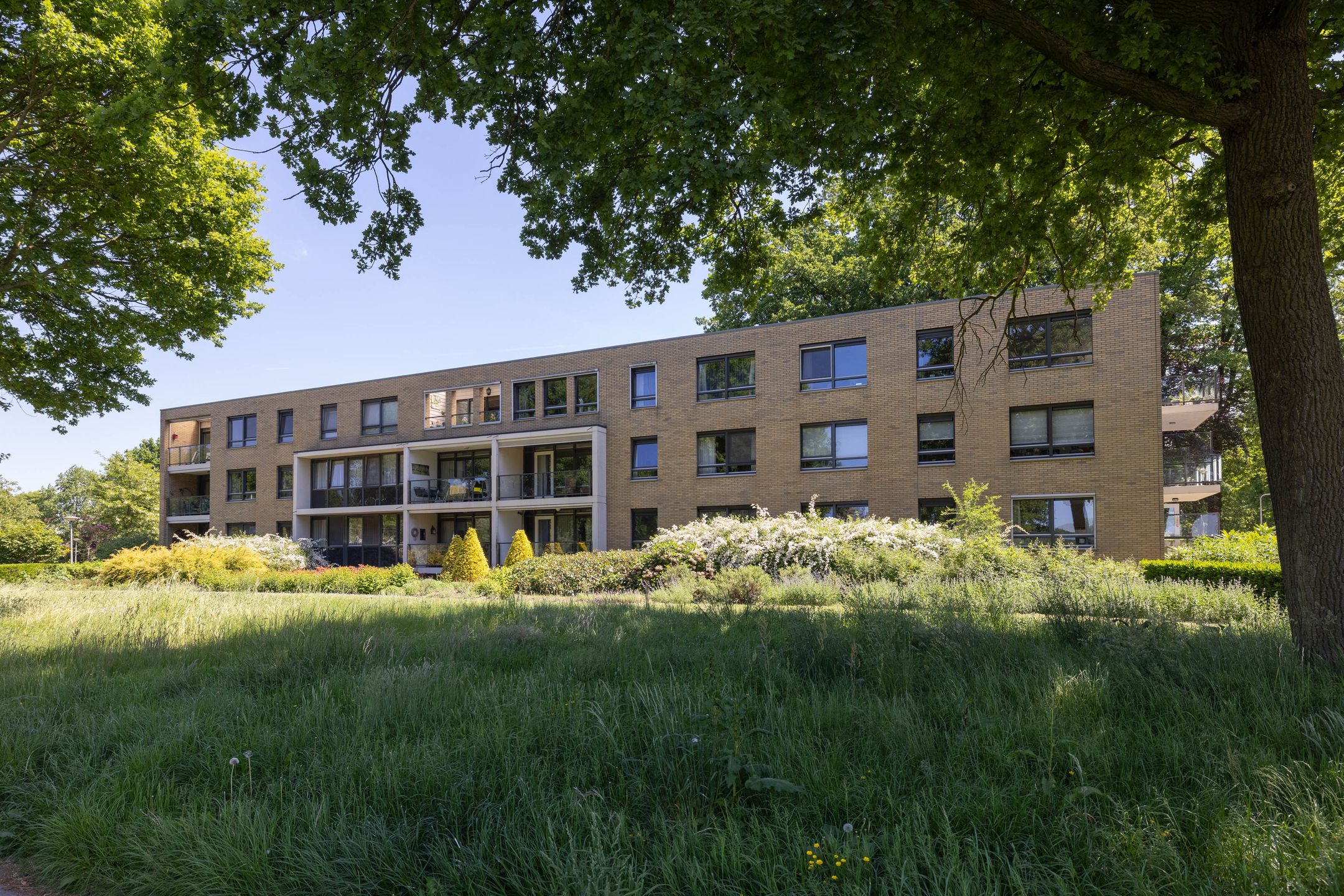 Foto 30 van Oxfordstraat 31