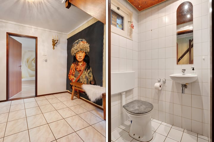 Foto 10 van Patrijs 52