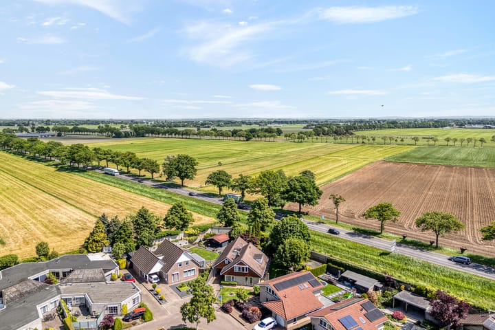 Foto 3 van Patrijs 52