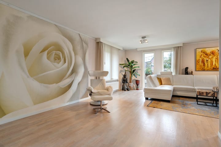 Foto 5 van Patrijs 52