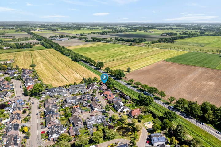 Foto 4 van Patrijs 52