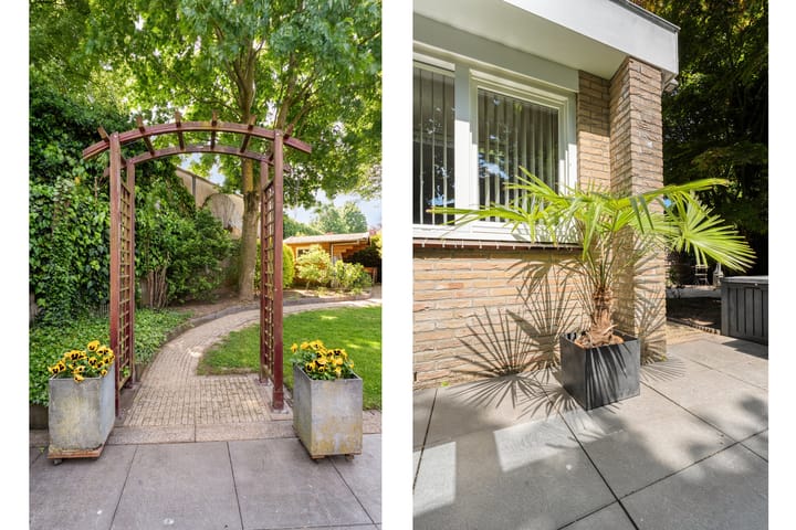 Foto 47 van Patrijs 52