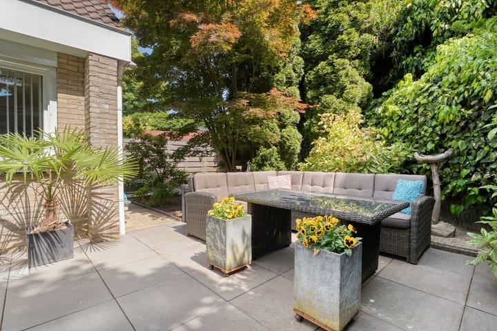 Foto 50 van Patrijs 52